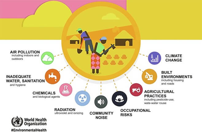 health without borders