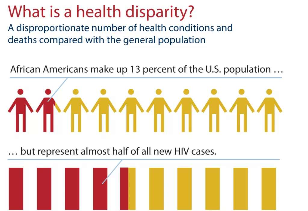 health without borders