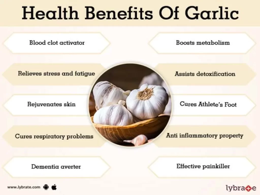 garlic