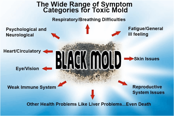 health effects of black mold