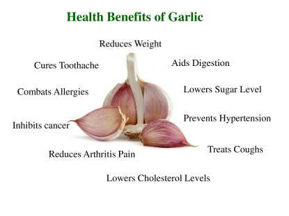garlic health benefits of garlic