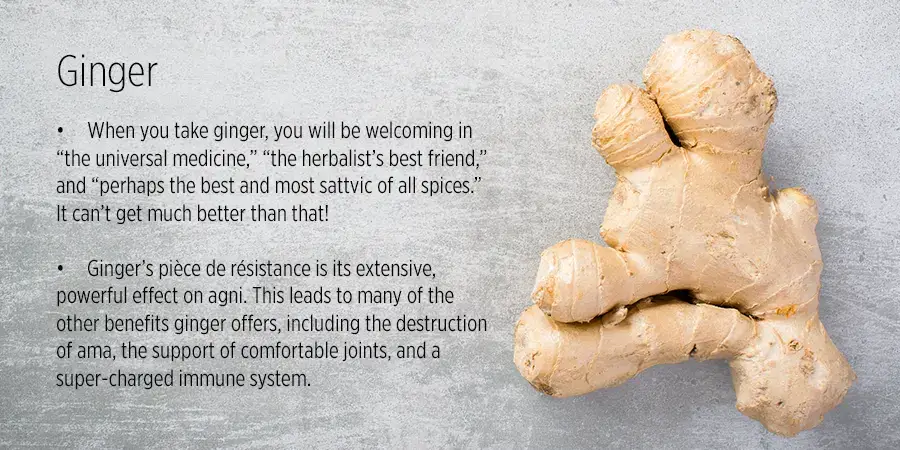 balanced diet ginger benefits gingerol