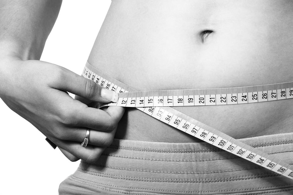 lose fat not muscles