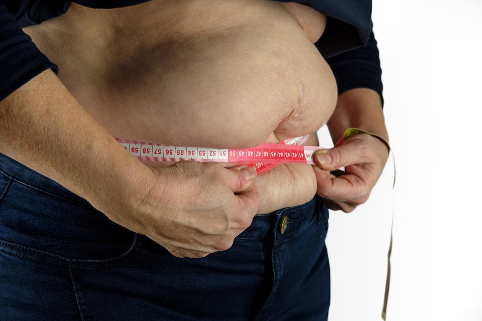 lose fat not muscles