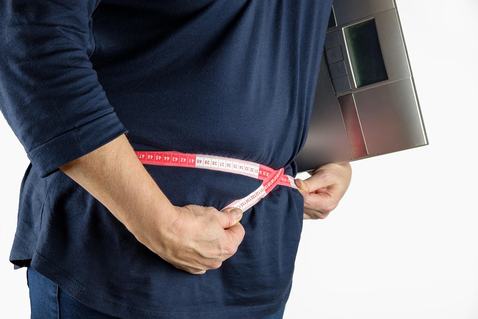 lose fat not muscles
