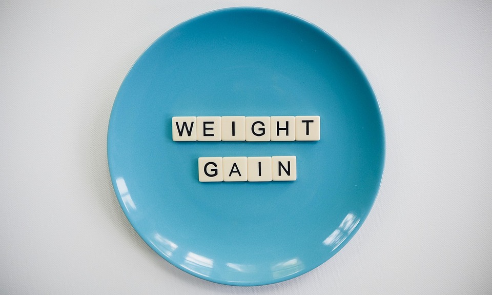 gain weight