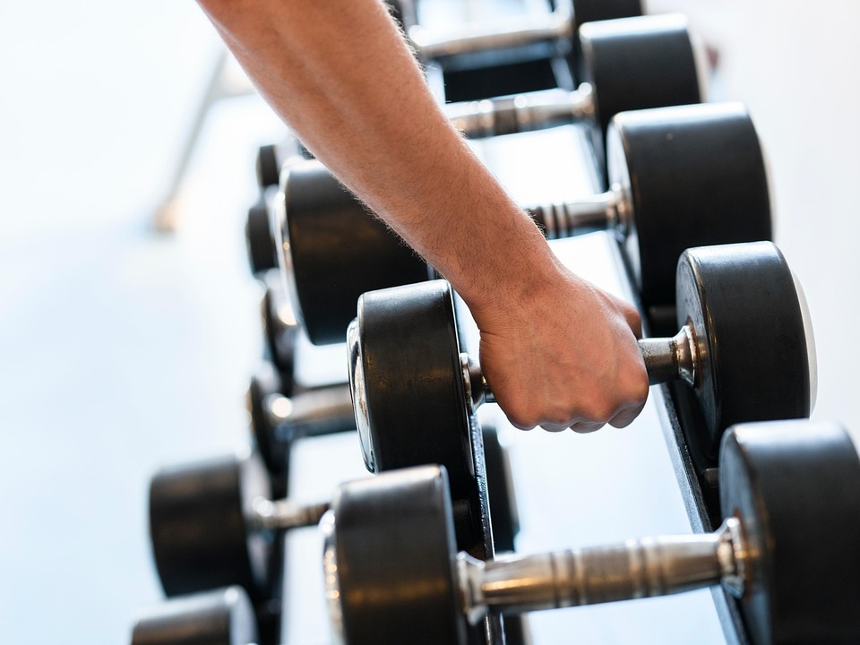 health fitness recipes